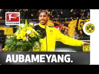 شاهد كيف احتفلت جماهير دورتموند بأحسن لاعب افريقي