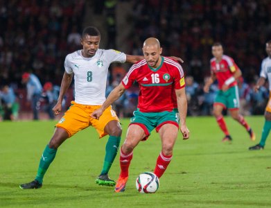 أي لعنة  ضربت عرين الأسود؟