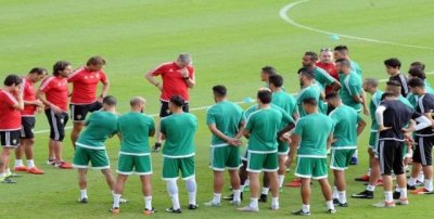 تداريب عادية للأسود إستعدادا للماليين