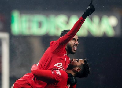 إرتفاع عدد سفراء الإيرديفيزي إلى 31 أسدا