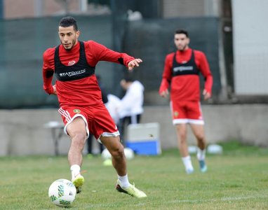 الصربيون يستصغرون الأسود