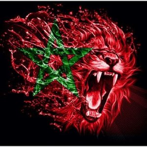 هذا الأسد لم يلعب أي مباراة دولية حتى الآن