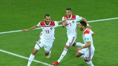 تعرف على 25 أسدا لمواجهة المالاوي