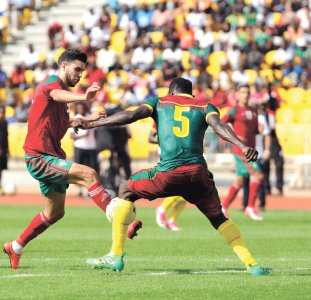 الغوليادور يعود للأسود