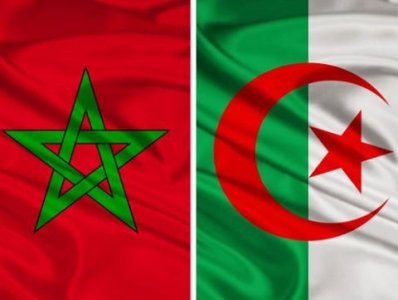 الأسود لن تواجه ثعالب الجزائر