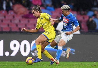 2018 الميلاد الرسمي لهؤلاء الأشبال