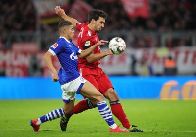 حارث يعود من واجهة قمة البايرن