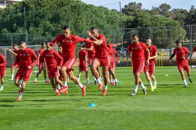 الأسود تواصل تداريبها وترفع الإيقاع