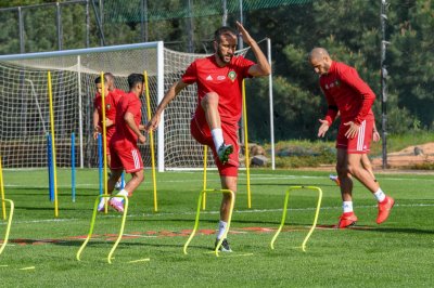 السباعي المحلي يعيش أجواء خاصة مع الأسود