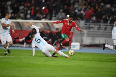 رقم قياسي في مداخيل ودية الأسود والأرجنتين