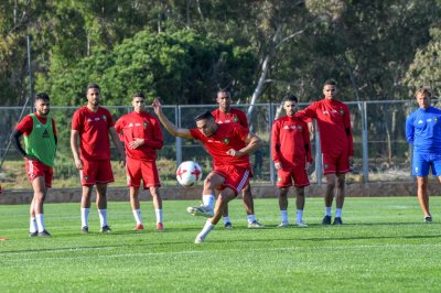 ضيف الأسود الجديد قد يبتعد عن نهائيات  الكان 