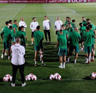 بالصور.. الأسود يواصلون تحضيراتهم بمعنويات مرتفعة