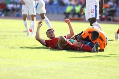 غانم سايس الأسد الوحيد الحاضر