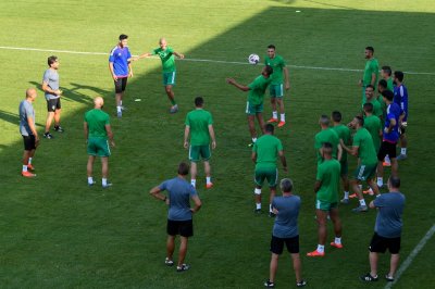 الأسود تحت المتابعة