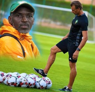  الأسود  و الأفيال  مواجهة بين الأستاذ والتلميد