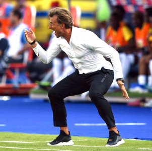 هيرفي رونار يستمر أم يرحل؟