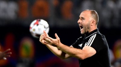 بلماضي مدربا لمنتخب الأسود؟