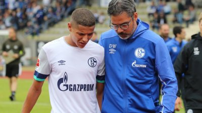 مدرب شالك يعول على حارث