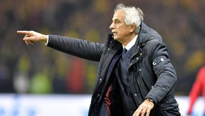 عاجل.. هؤلاء ينافسون وحيد على تدريب الأسود