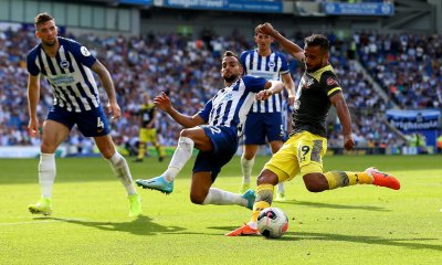 استفتاء جماهيري يشدد على ضرورة ترسيم هذا الأسد