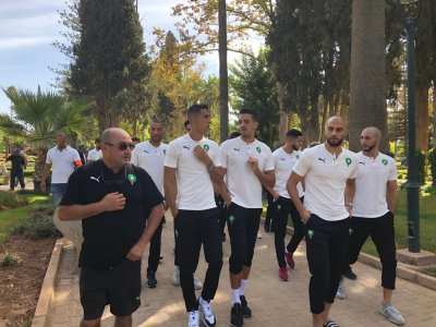 بالصور.. الأسود في جولة سياحية