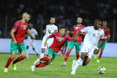 غدا يبدأ الأسود التحضير لودية الغابون