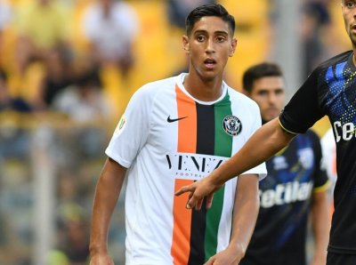 أسد واعد يقدم أوراق إعتماده بالسيري  ب 