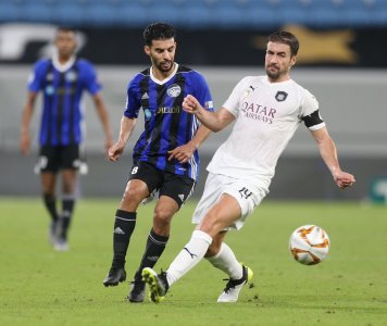 أسود قطر أمام واقع تخفيض الرواتب