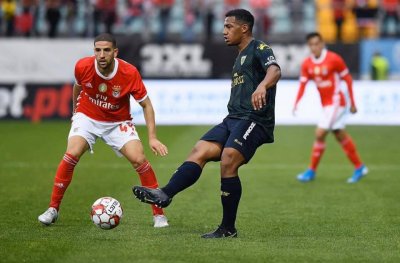 موفي مطالب بالإجتهاد وتقريره على طاولة وحيد