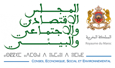 المجلس الإقتصادي: الإسترتيجية الوطنية حول الرياضة لم يتم تنزيلها في شكل سياسة عمومية حقيقية