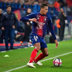 بامو يراهن على تجربة كون للعودة إلى عرين الأسود