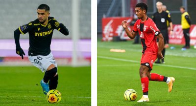 حضور لوزا وشويعر مع الأسود مجرد إشاعة