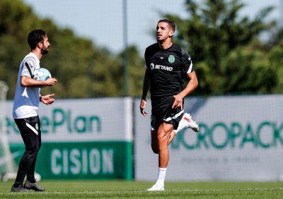 هذا هو التحدي الأول الذي يستعد له فضال