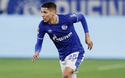 دليلك لمشاهدة مباريات أسود العالم