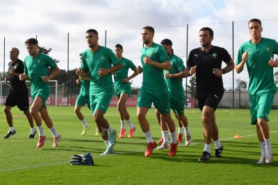 تداريب الأسود بصفوف مكتملة