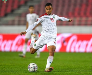 لماذا الشيبي دون غيره؟