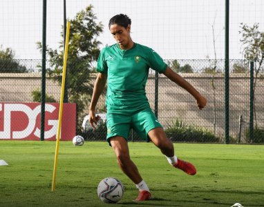 هل يظهر مالح في مباراة الأسود أمام غينيا؟