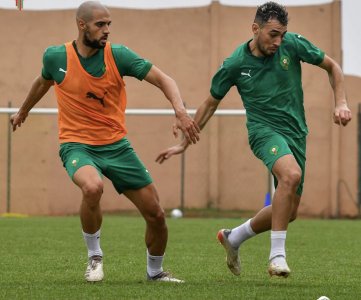 حصة تدريبية للأسود البدلاء