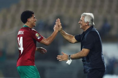 كيف تأذى الأسود من مدربهم؟