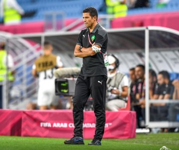 من نصب عموتا مدربا للأسود؟