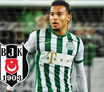 بشيكطاش يريد أسدا آخر في صفوفه