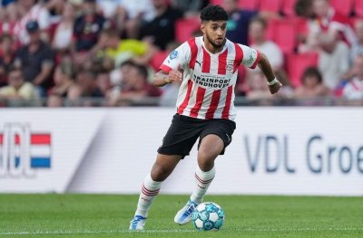 31 أسدا في  الإرديفيزي  ولا أثر لأي منهم في لائحة وليد