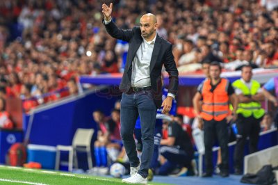 الركراكي: أمامي فرصة ثمينة بتدريب الأسود