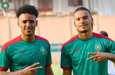 الشقيقان مايي خارج الخدمة