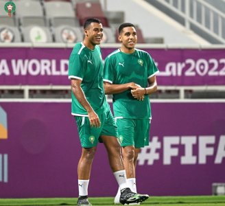 صحيفة سياسية إيطالية تساند الأسود بالمونديال