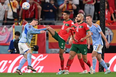 طاليب: إنجاز منتخب المغرب لم يفاحئني