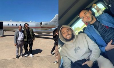 إستمرار توافد أسود الأطلس على مركب محمد السادس