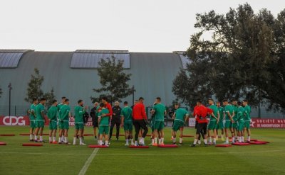 5 لاعبين غابوا عن الحصة التدريبية الأولى للأسود