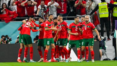 إرث المونديال وردّ الدين.. هدفان يطاردان الأسود أمام البرازيل