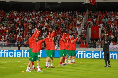 فيفا يشيد بفوز الأسود على البرازيل